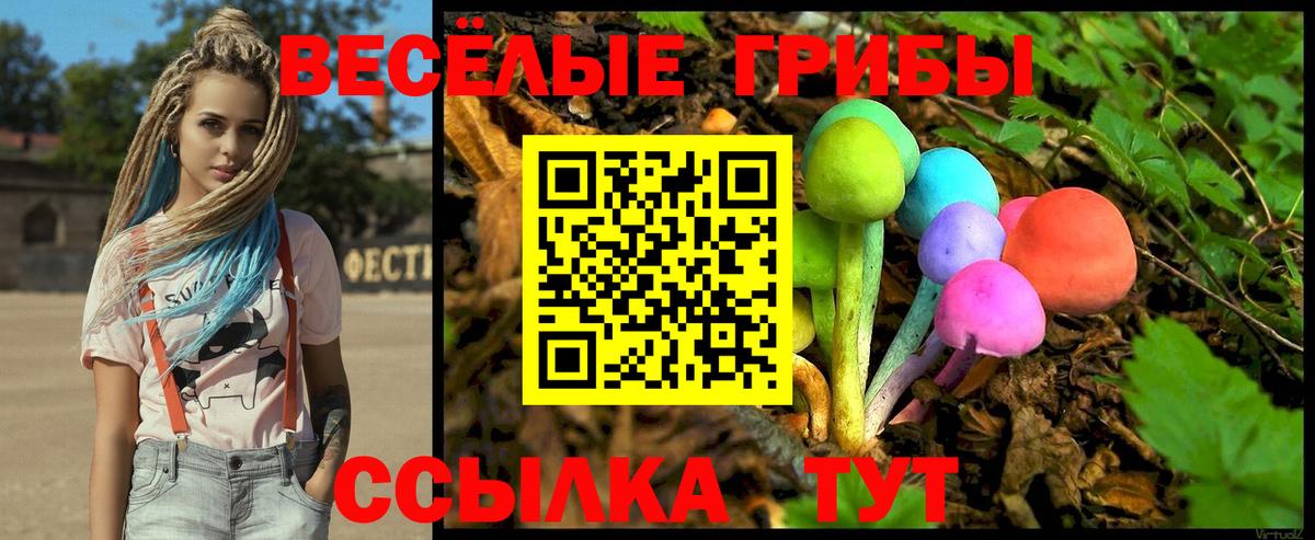 Псилоцибиновые грибы MAGIC MUSHROOMS  Вход с VPN  Кимры  цена   Галлюциногенные грибы Magic Shrooms 
