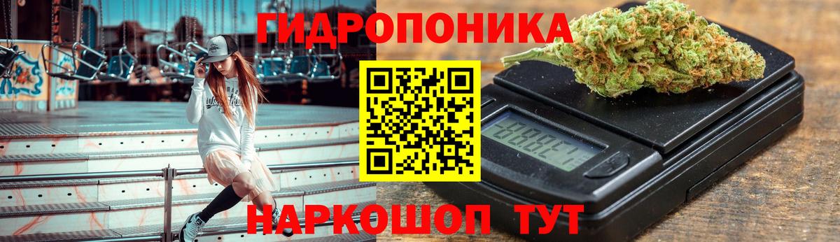 Марихуана Bruce Banner  МАРИХУАНА планчик  Шишки марихуана Ganja  Кимры  Вход с VPN 